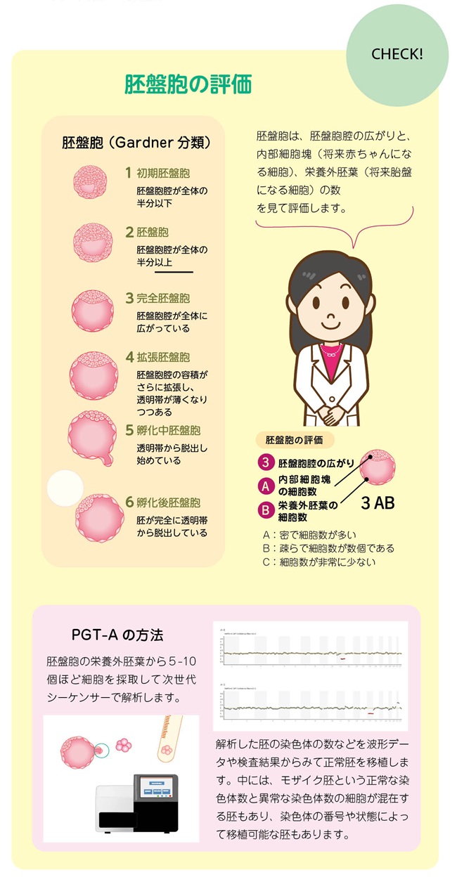 胚盤胞の評価